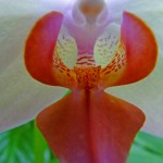075