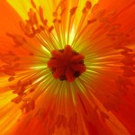 092